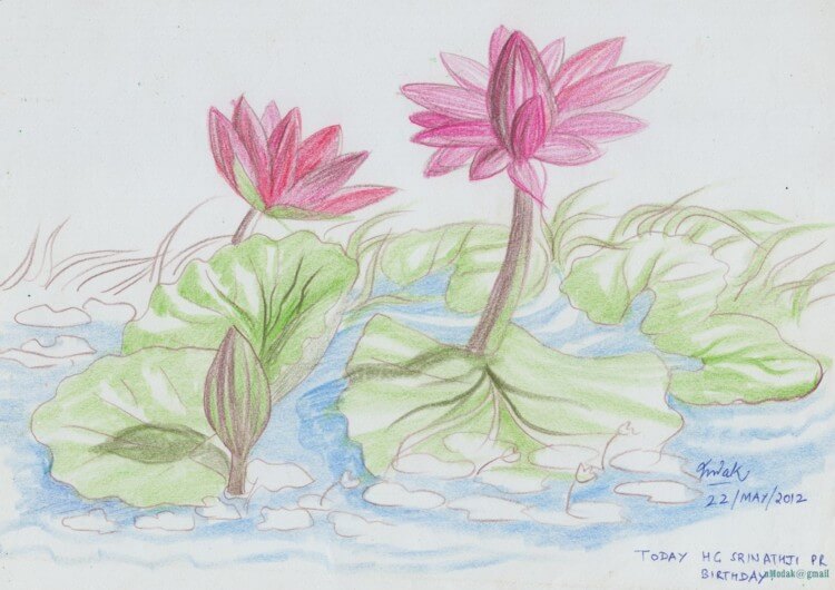 15 Gambar Sketsa Bunga dari Pensil yang Mudah Dibuat